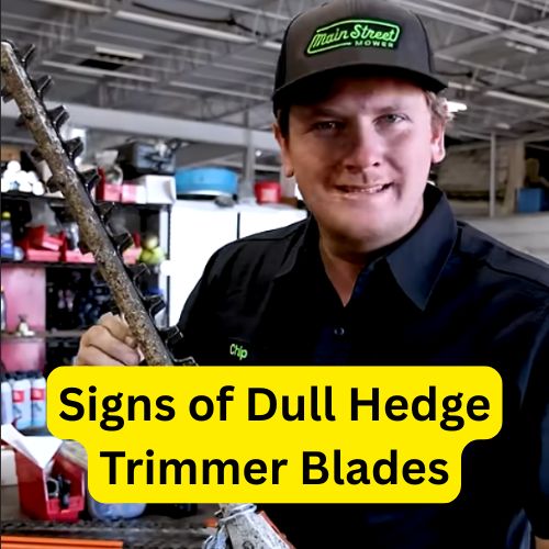 Signs Your Hedge Trimmer Needs Sharpening (Because Your Bushes Deserve Better)