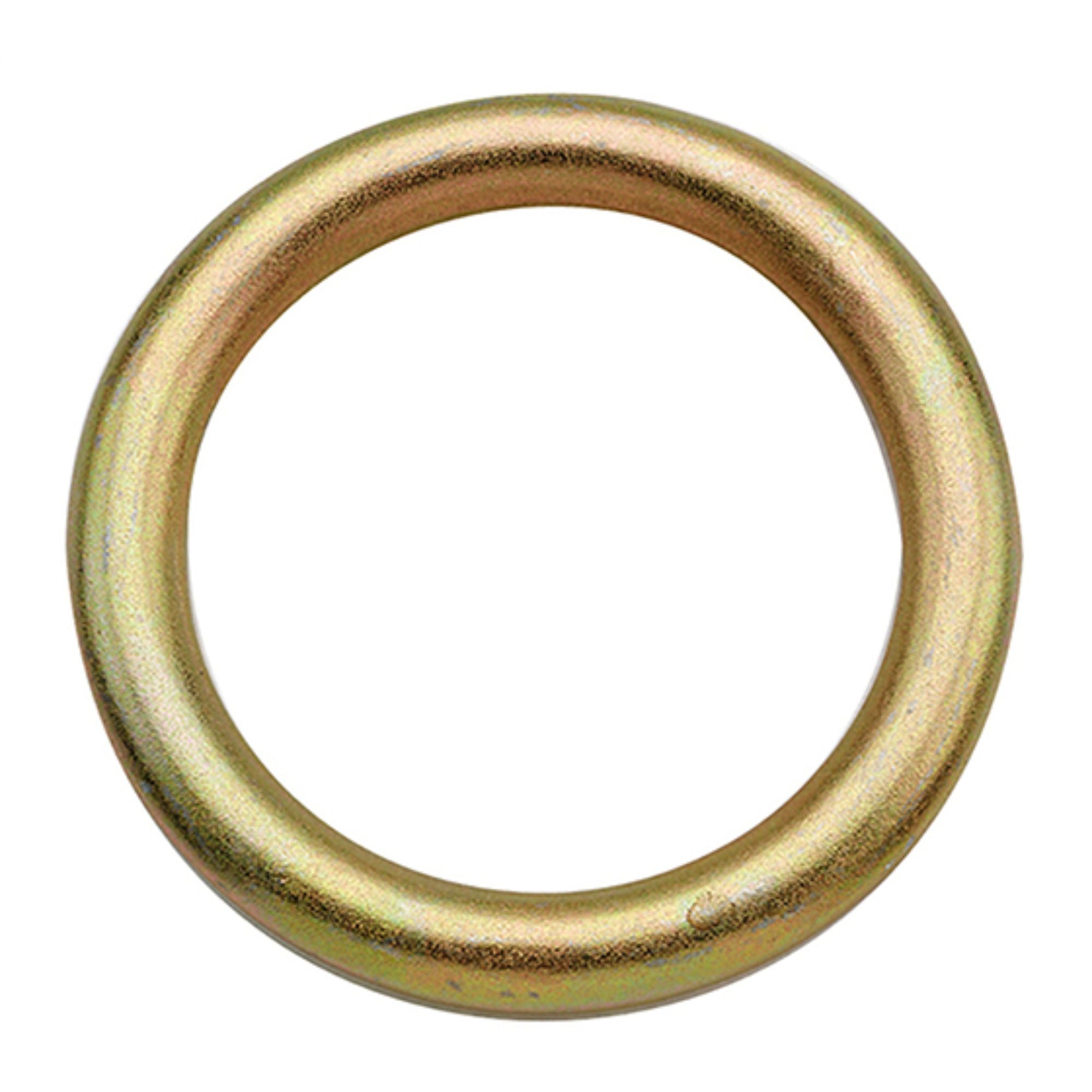 Stainless Steel Rigging Ring | ID 76MM | OD 102MM | 16853  | Main Street Mower | Winter Garden | Clermont | Ocala