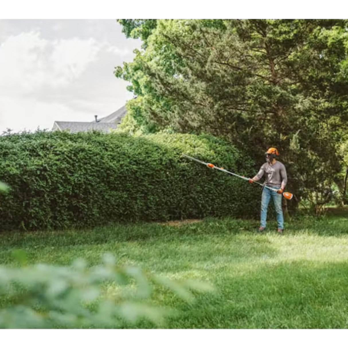 STIHL HLA 56 18 Battery Powered Cordless Extended Reach Hedge Trimmer | Tool Only | Main Street Mower | Winter Garden | Clermont | Ocala