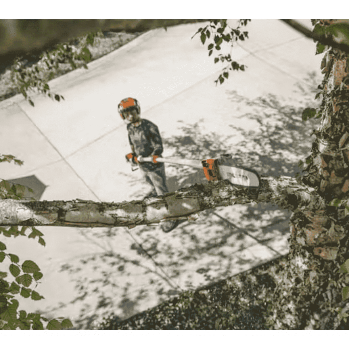 STIHL HT 135 Gas Powered Telescoping Pole Pruner | Main Street Mower | Winter Garden | Clermont | Ocala