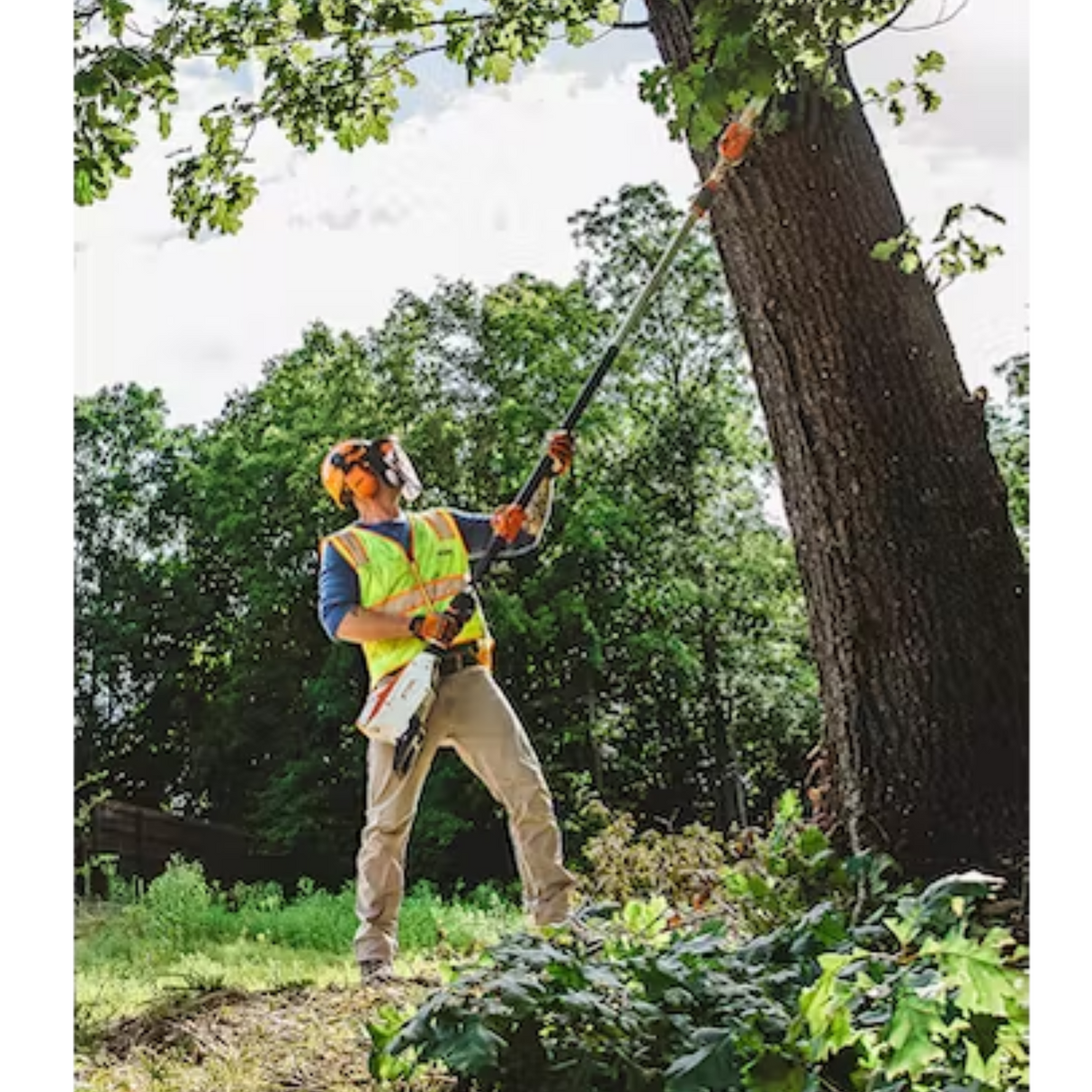 STIHL HTA 135 Telescopic Battery Powered Pole Pruner 10" | Tool Only | Main Street Mower | Winter Garden | Clermont | Ocala