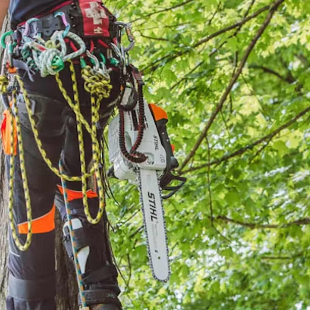 STIHL MS 201 T C-M Gas Powered 14 Inch In-Tree Chainsaw with M-Tronic | Main Street Mower | Winter Garden | Clermont | Ocala