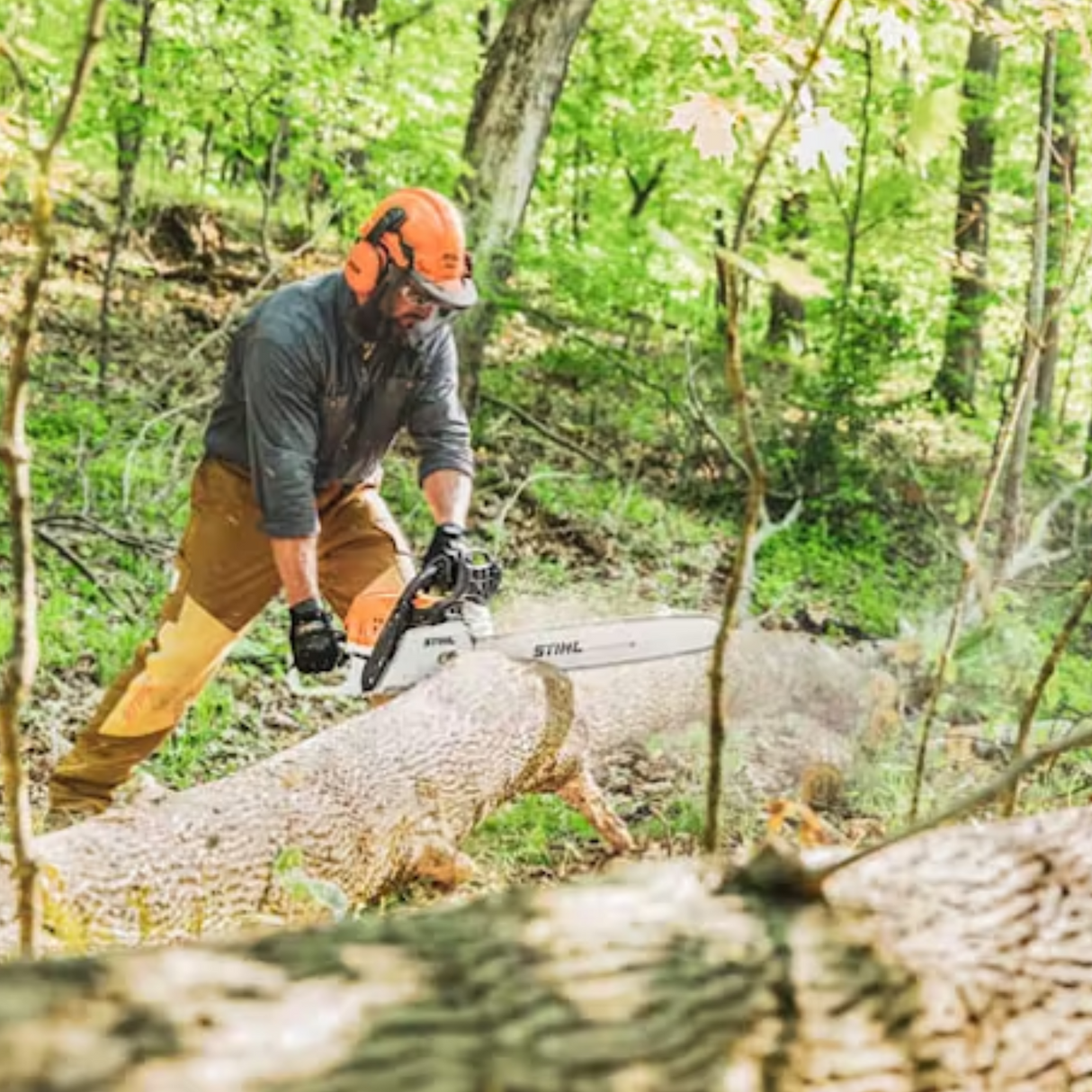 STIHL MS 391 Gas Powered Chainsaw | Main Street Mower | Winter Garden | Clermont | Ocala