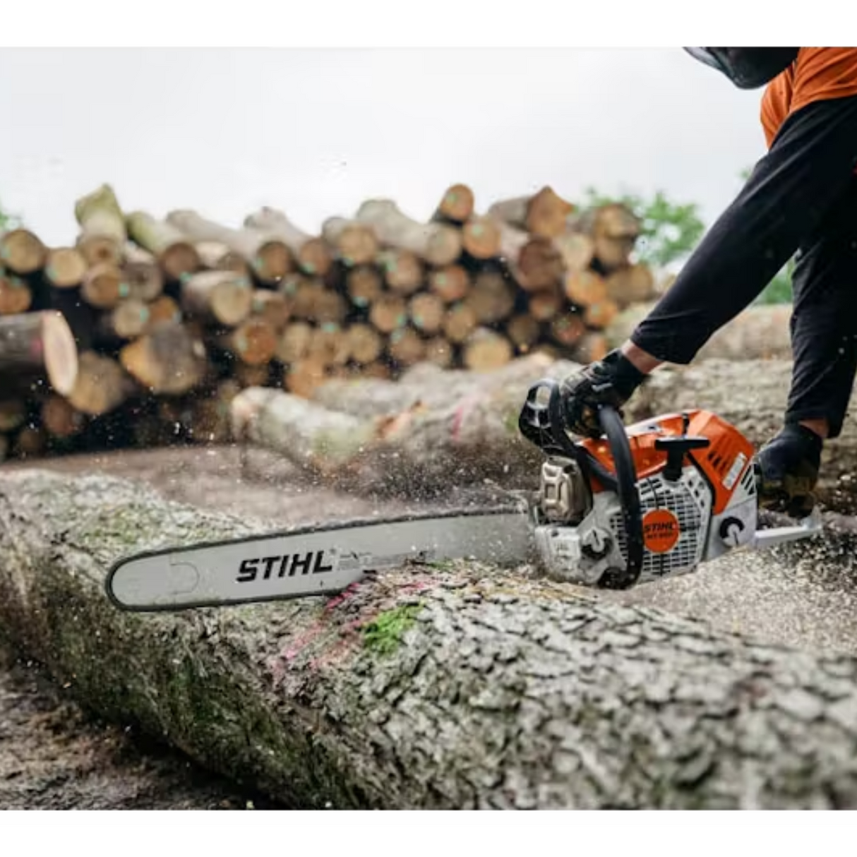 STIHL MS 500i Gas Powered Chainsaw with Electronically Fuel Injection | Main Street Mower | Winter Garden | Clermont | Ocala