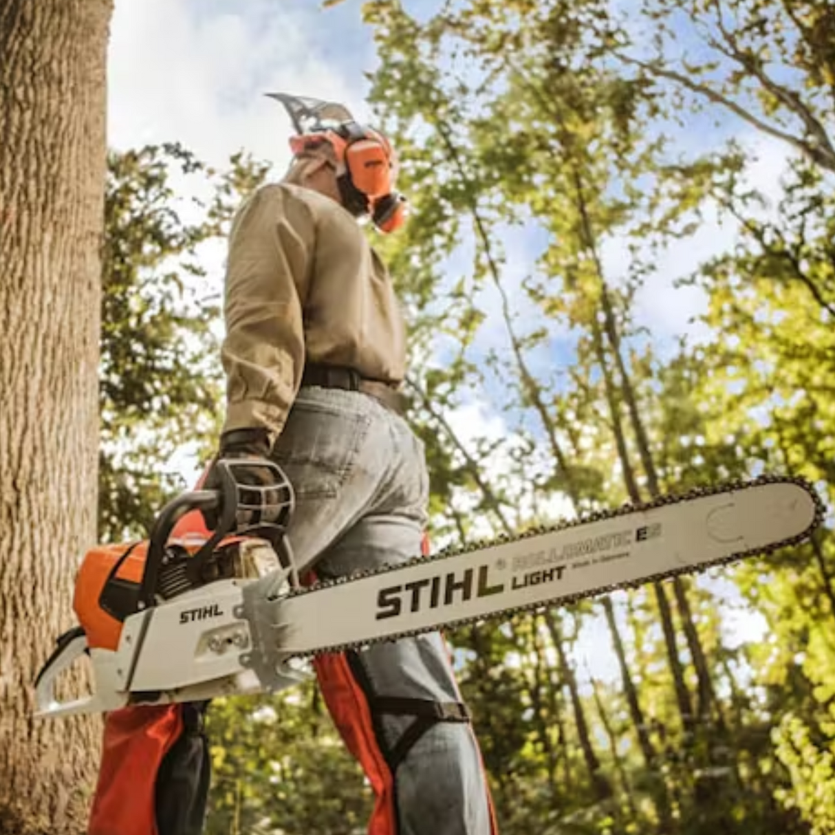 STIHL MS 661CM 36 Gas Powered Chainsaw with M-Tronic | Main Street Mower | Winter Garden | Clermont | Ocala