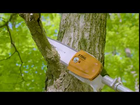 STIHL HT 56 C-E Gas Powered Pole Pruner with Easy2Start | Main Street Mower | Winter Garden | Clermont | Ocala