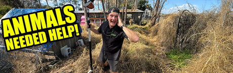  Extreme Overgrowth Cleanup! | STIHL FS 94 Heavy-Duty Action