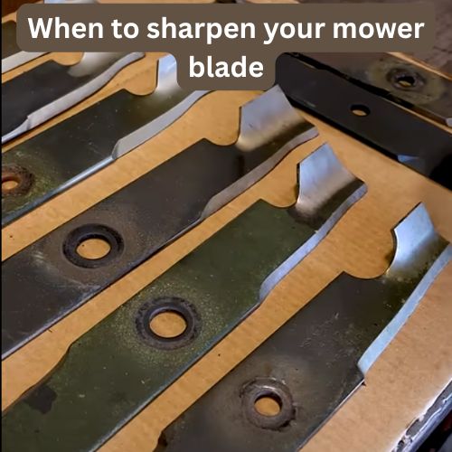 Do you know when to sharpen your mower blade?