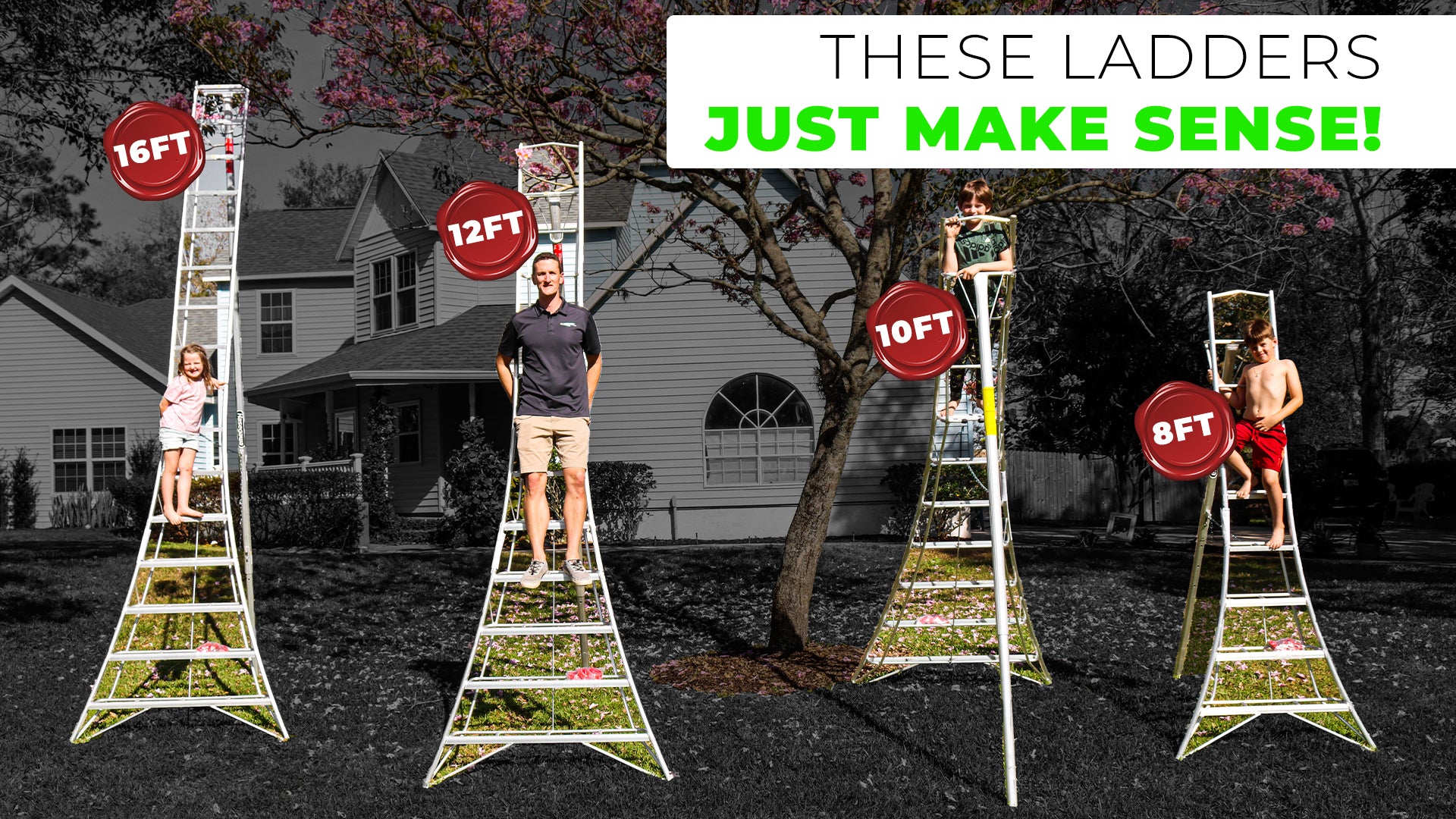 Most PRACTICAL ladders ever! | Best Ladders 2023 | Hasegawa Orchard LaddersMain Street Mower, Winter Garden, Clermont, Ocala