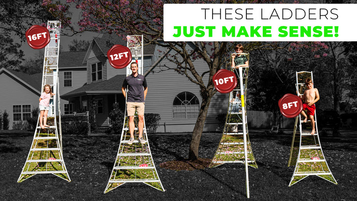 Most PRACTICAL ladders ever! | Best Ladders 2023 | Hasegawa Orchard LaddersMain Street Mower, Winter Garden, Clermont, Ocala