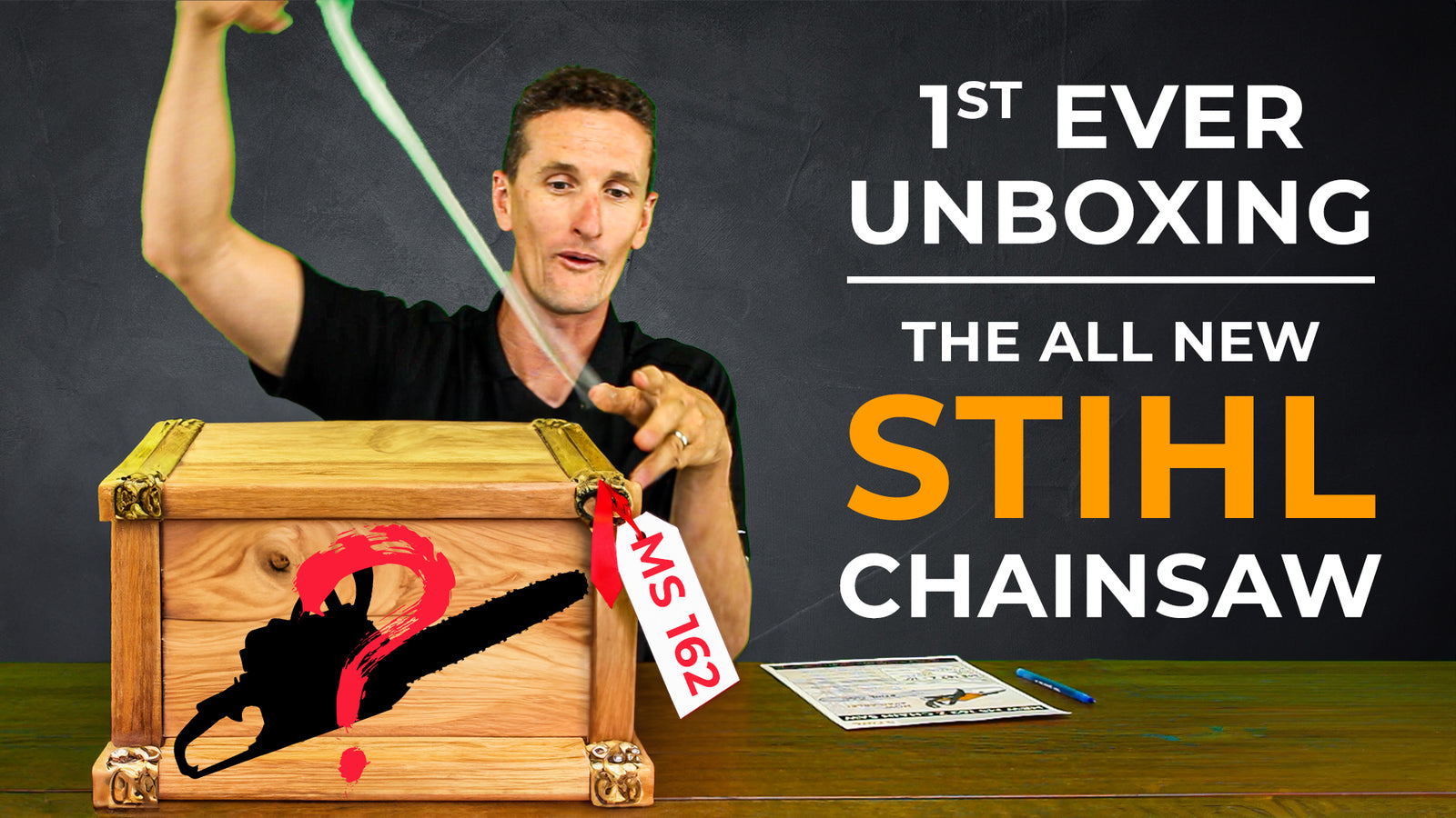 NEW Stihl MS 162 Chainsaw - And how it compares to the MS 170!