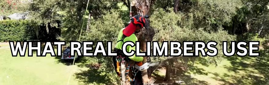 Top 5 Tools Every Arborist Needs! Tree Climbing 101