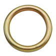 Stainless Steel Rigging Ring | ID 76MM | OD 102MM | 16853  | Main Street Mower | Winter Garden | Clermont | Ocala