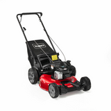 Toro 21 in. Recycler High Wheel Push Gas Lawn Mower | 21311 | Main Street Mower | Winter Garden | Clermont | Ocala