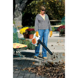 STIHL BG 56 C-E Gas Powered Handheld Blower | Main Street Mower | Winter Garden | Clermont | Ocala