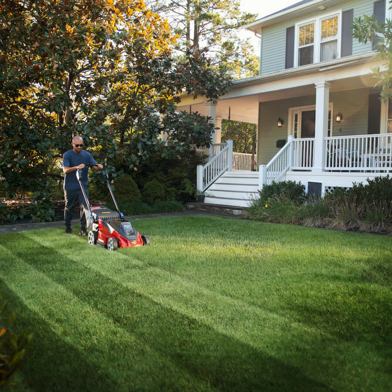 Toro 60V MAX* 21 in. Stripe™ Self-Propelled Mower - 6.0Ah Battery / Charger Included