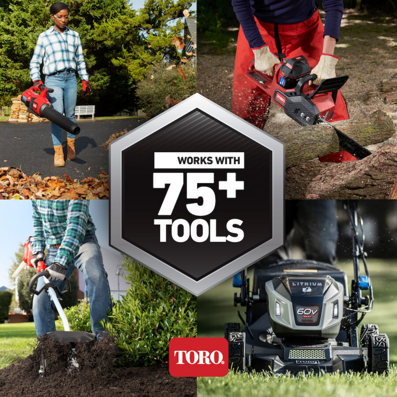 Toro 60V MAX* 21 in. Stripe™ Self-Propelled Mower - 6.0Ah Battery / Charger Included