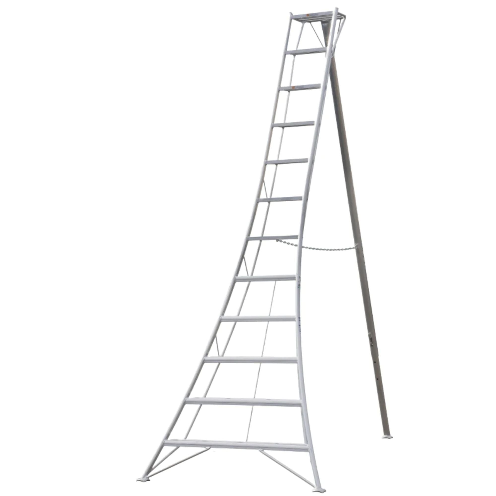 ladder196ページ Hasegawa GSC-6AS 6' Tripod Ladder ANSI 300 LB Rating – Main Street