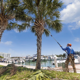 STIHL HTA 135 Telescopic Battery Powered Pole Pruner 10" | Tool Only | Main Street Mower | Winter Garden | Clermont | Ocala