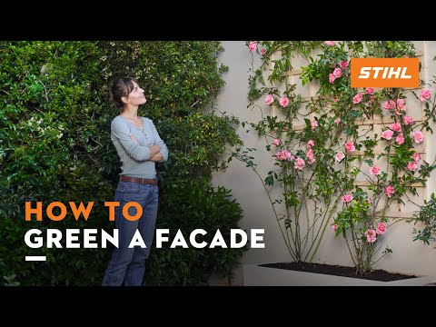 STIHL GTA 26 Battery Powered Garden Pruner | Main Street Mower | Winter Garden | Clermont | Ocala