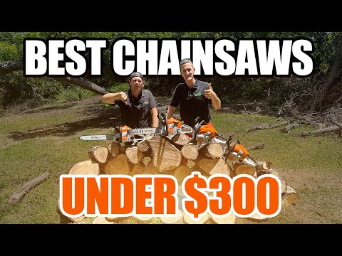 STIHL MS 162 Z – 16” Gas Powered Chainsaw