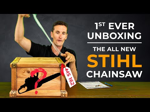 STIHL MS 162 Z – 16” Gas Powered Chainsaw | Main Street Mower | Winter Garden | Clermont | Ocala