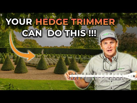 STIHL HL 94 K (145 Degree) Gas Powered Hedge Trimmer | Main Street Mower | Winter Garden | Clermont | Ocala