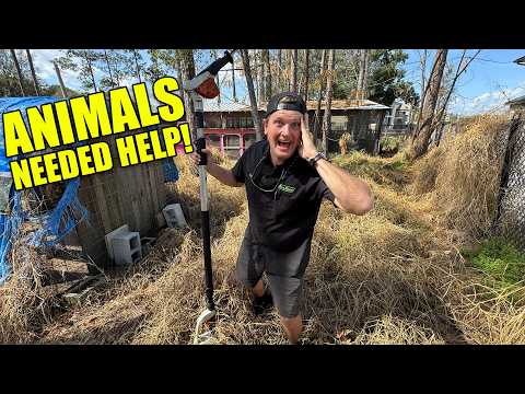 STIHL FS 94 R Gas Powered String Trimmer