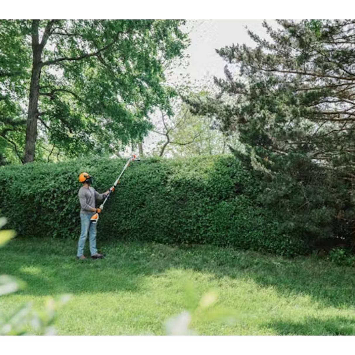 STIHL HLA 56 18 Battery Powered Cordless Extended Reach Hedge Trimmer | Tool Only | Main Street Mower | Winter Garden | Clermont | Ocala