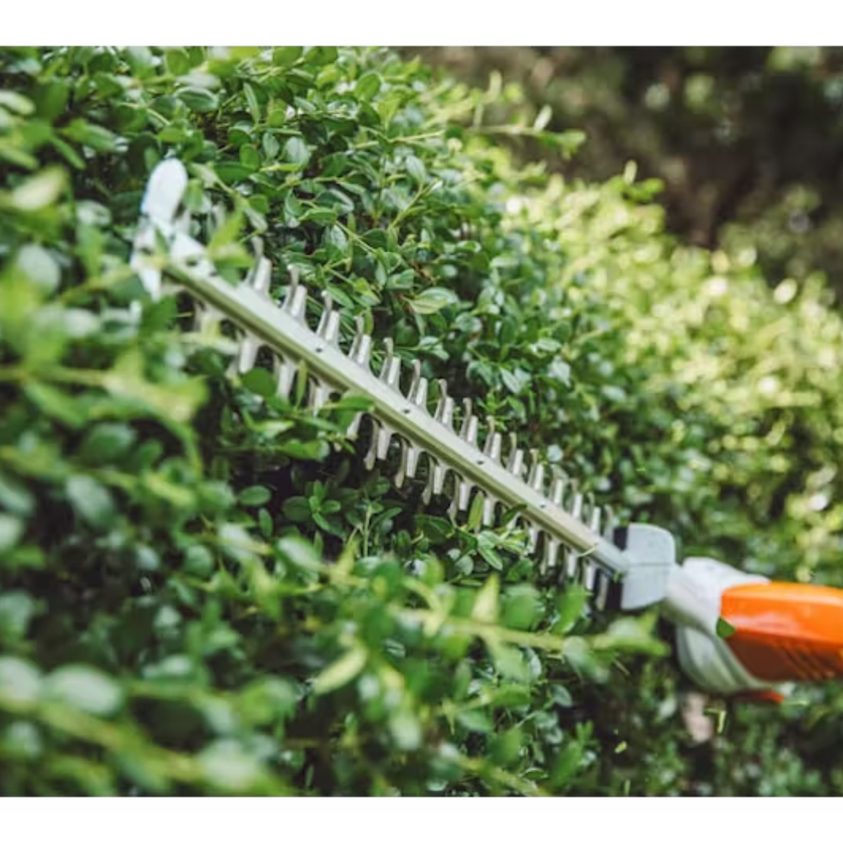 STIHL HLA 56 18 Battery Powered Cordless Extended Reach Hedge Trimmer | Tool Only | Main Street Mower | Winter Garden | Clermont | Ocala