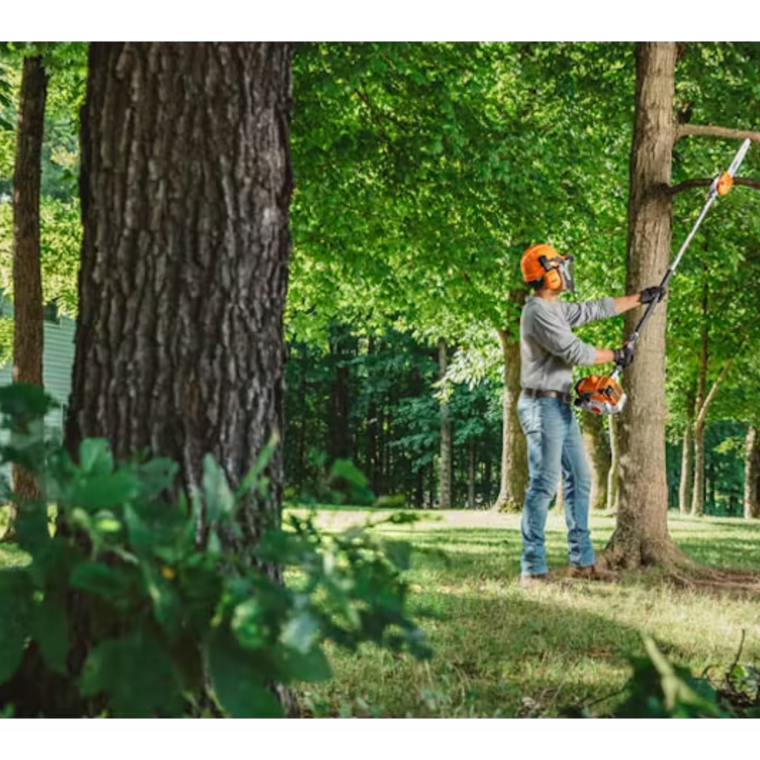 STIHL HT 250 Gas Powered Pole Pruner | Main Street Mower | Winter Garden | Clermont | Ocala