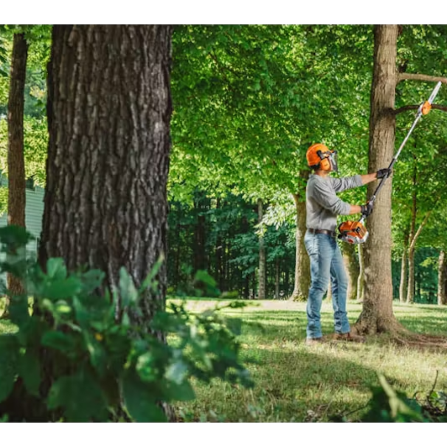 Stihl HT 250 Pole Pruner - Main Street Mower | Winter Garden, Ocala, Clermont