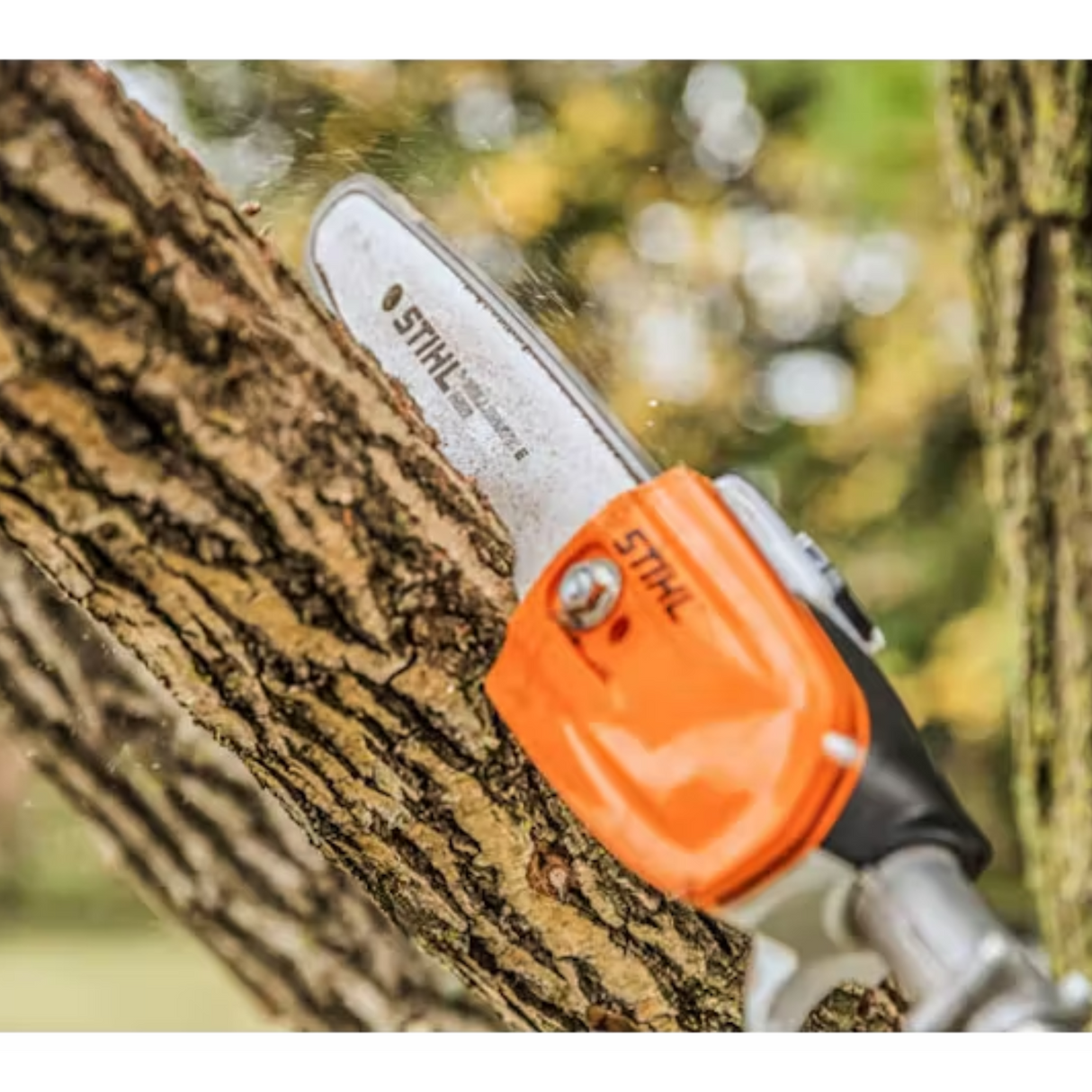 STIHL HT 56 C-E Gas Powered Pole Pruner with Easy2Start | Main Street Mower | Winter Garden | Clermont | Ocala