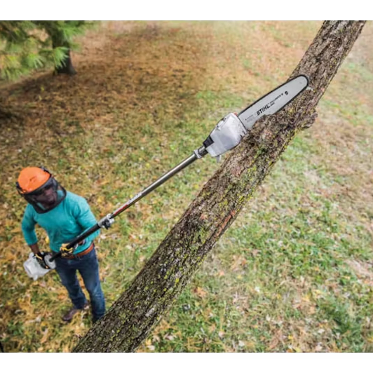 Stihl HT 56 C-E Pole Pruner with Easy2Start™ - Main Street Mower | Winter Garden, Ocala, Clermont