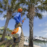 STIHL HTA 135 Telescopic Battery Powered Pole Pruner 10" | Tool Only | Main Street Mower | Winter Garden | Clermont | Ocala