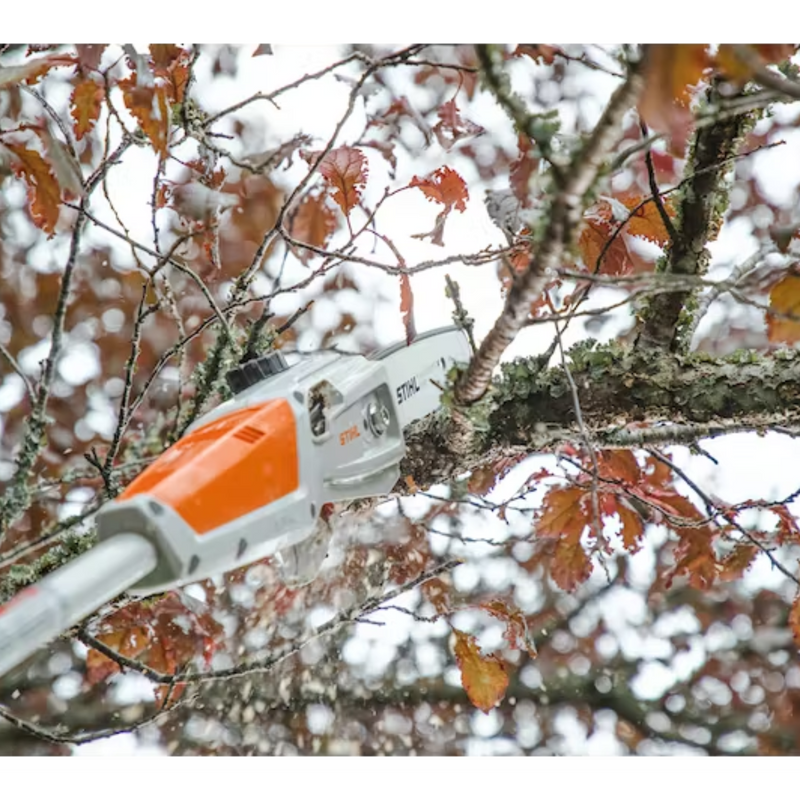 Stihl HTA 50 Pole Pruner - AK System - Main Street Mower | Winter Garden, Ocala, Clermont