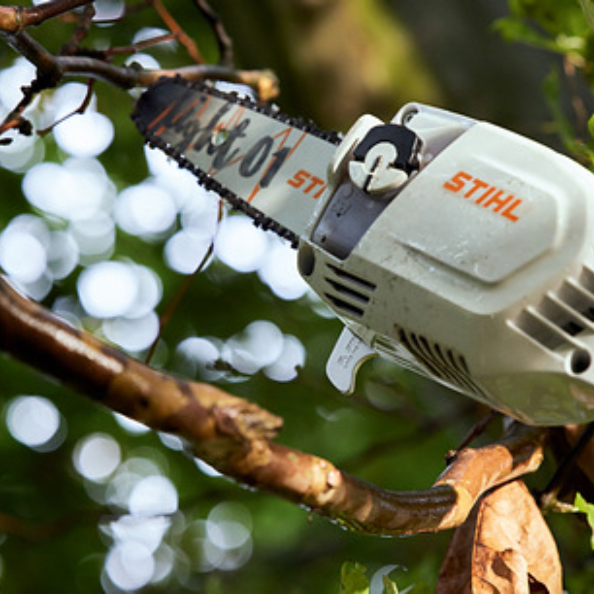 STIHL HTA 86 Telescopic Battery Powered Pole Pruner | Tool Only | Main Street Mower | Winter Garden | Clermont | Ocala