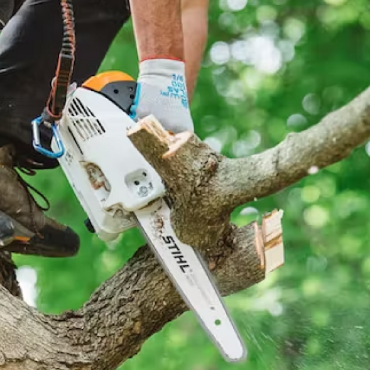 STIHL MS 151 T C-E Gas Powered Chainsaw Easy2Start | Main Street Mower | Winter Garden | Clermont | Ocala