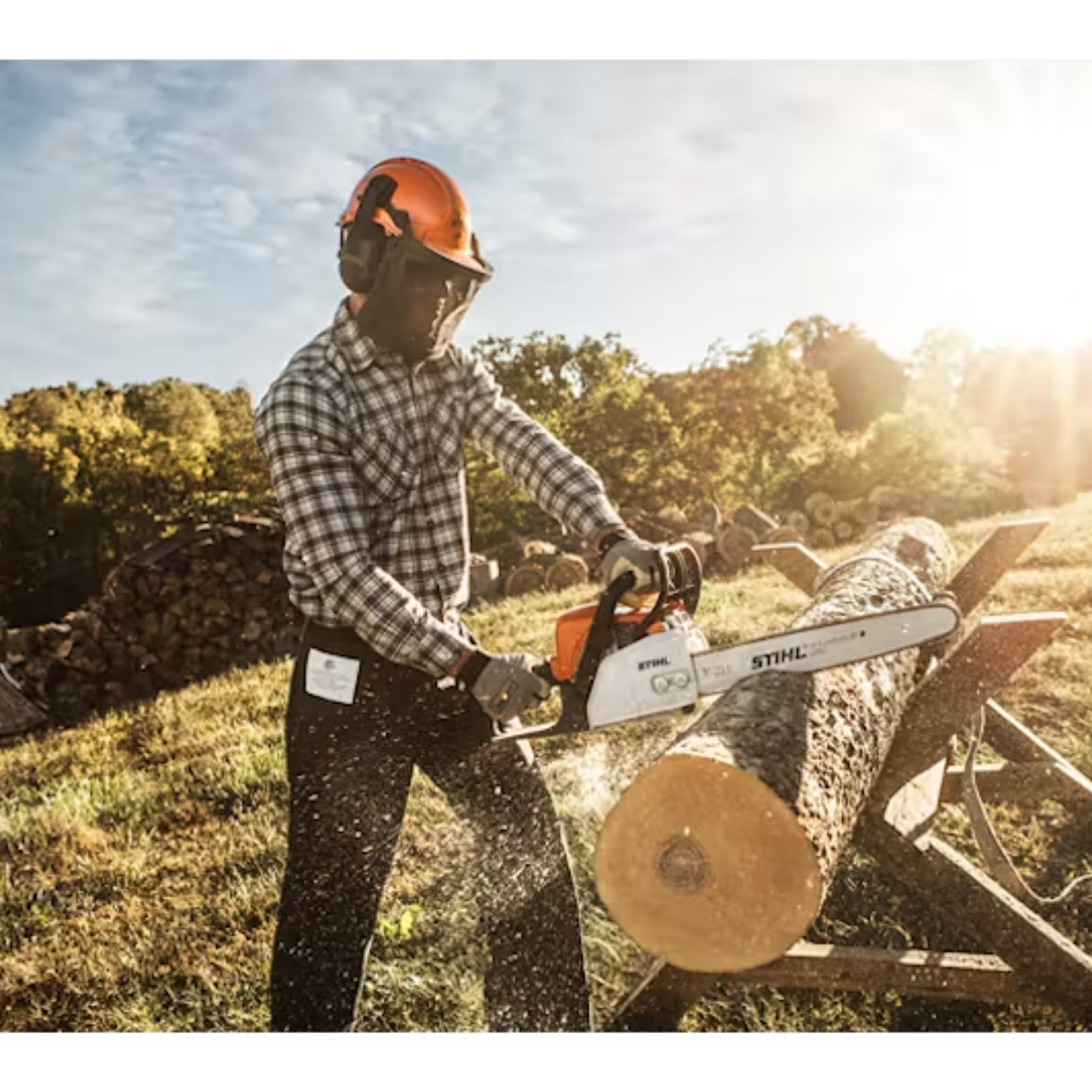 MSA 60 C STIHL Tronçonneuse à batterie