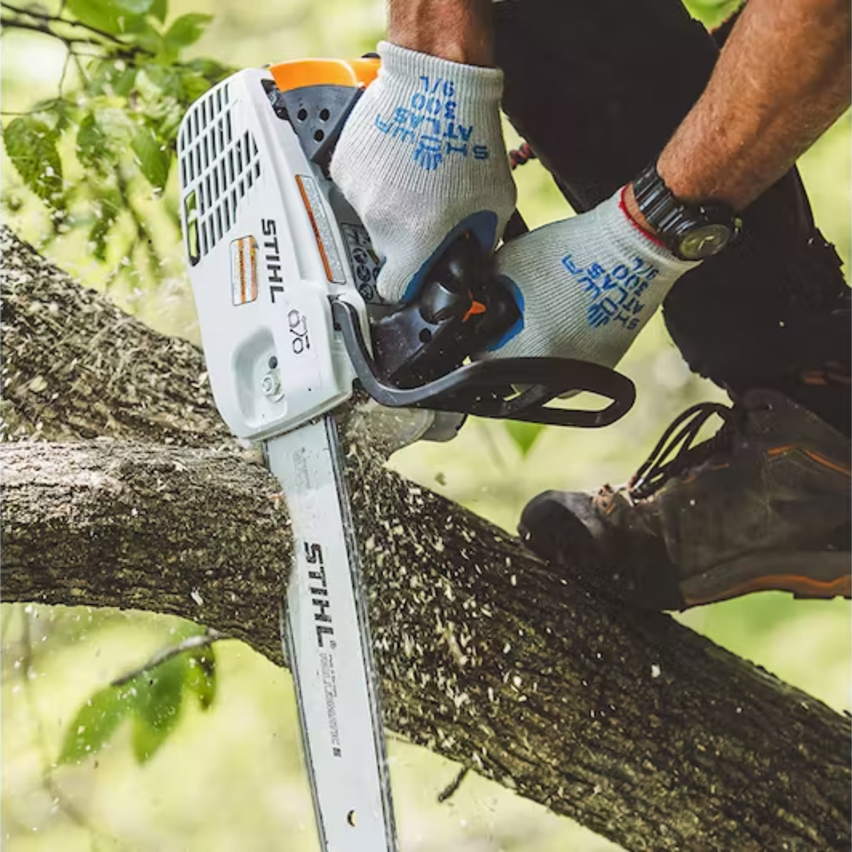STIHL MS 194 T Gas Powered Chainsaw | Main Street Mower | Winter Garden | Clermont | Ocala