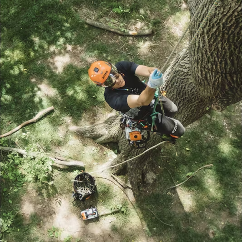 Stihl MS 194 T Chain Saw - Main Street Mower | Winter Garden, Ocala, Clermont