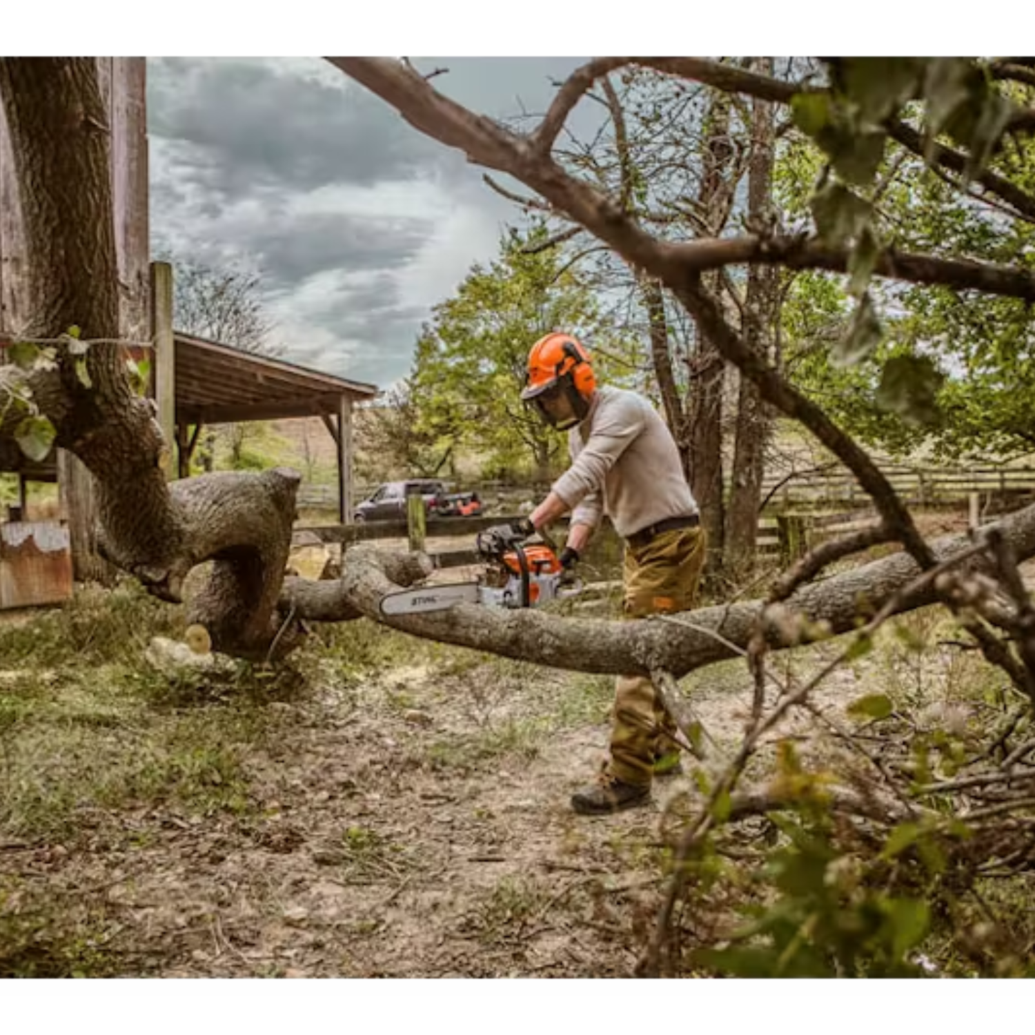 Stihl MS 261 C-M Chainsaw with M-Tronic - Main Street Mower | Winter Garden, Ocala, Clermont