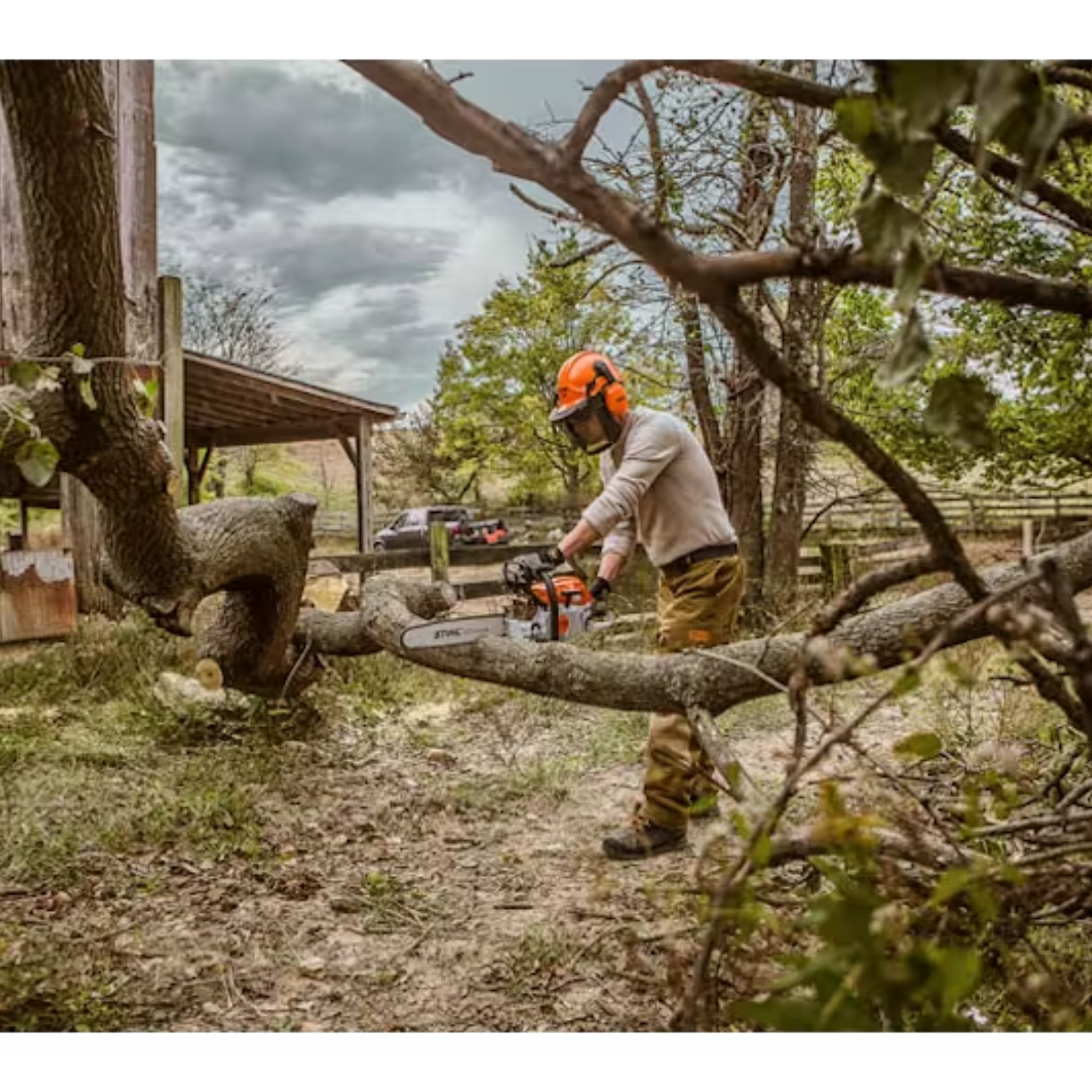 Tree cutting shop machine stihl