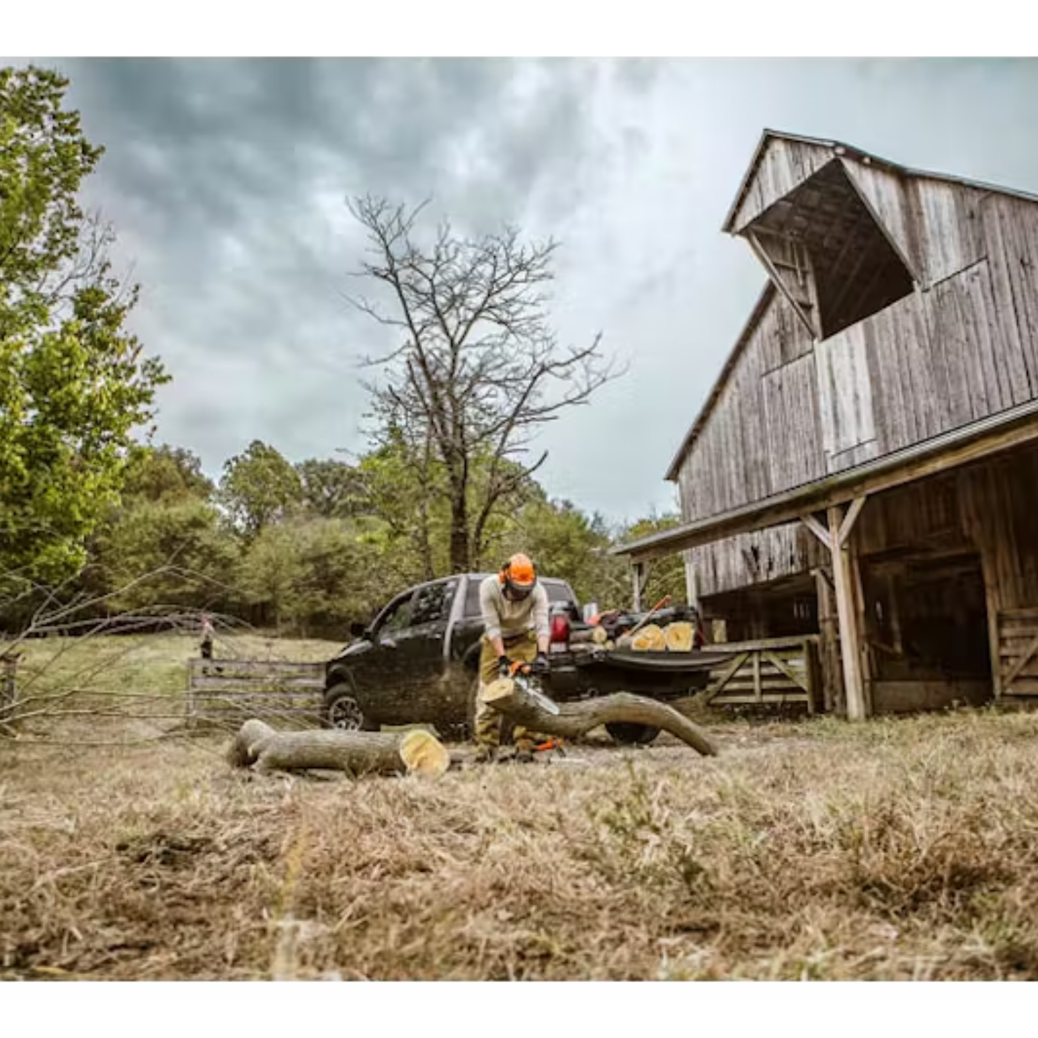 STIHL MS 261 C-M Gas Powered Chainsaw with M-Tronic | Main Street Mower | Winter Garden | Clermont | Ocala