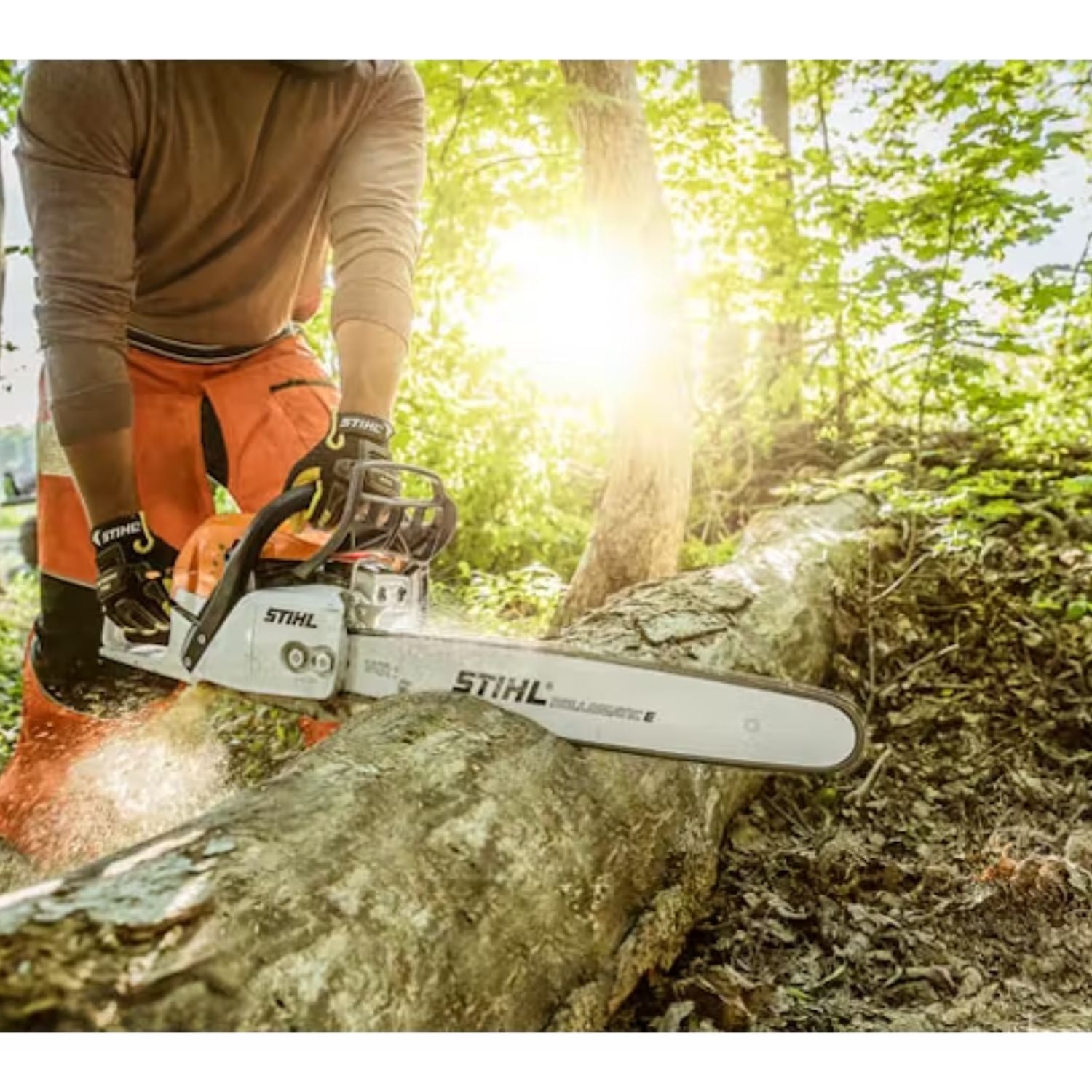 New Stihl MS 170 Gas Powered Chainsaw with 16″ Rollomatic Bar MS170 –  Advanced Tool & Equipment