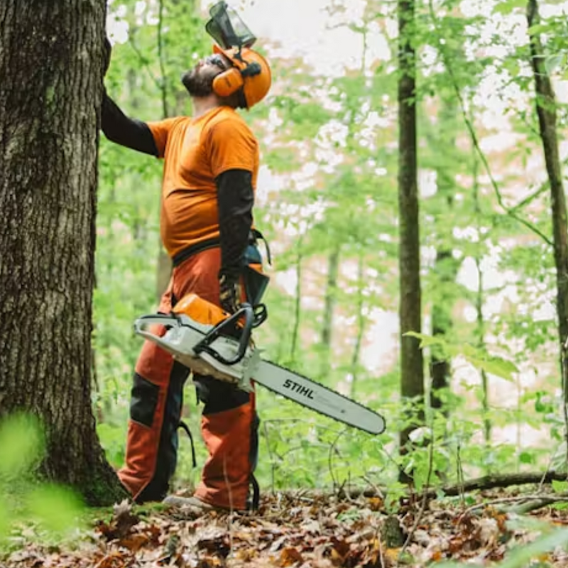 Stihl MS 462 C-M Chainsaw with M-Tronic - Main Street Mower | Winter Garden, Ocala, Clermont