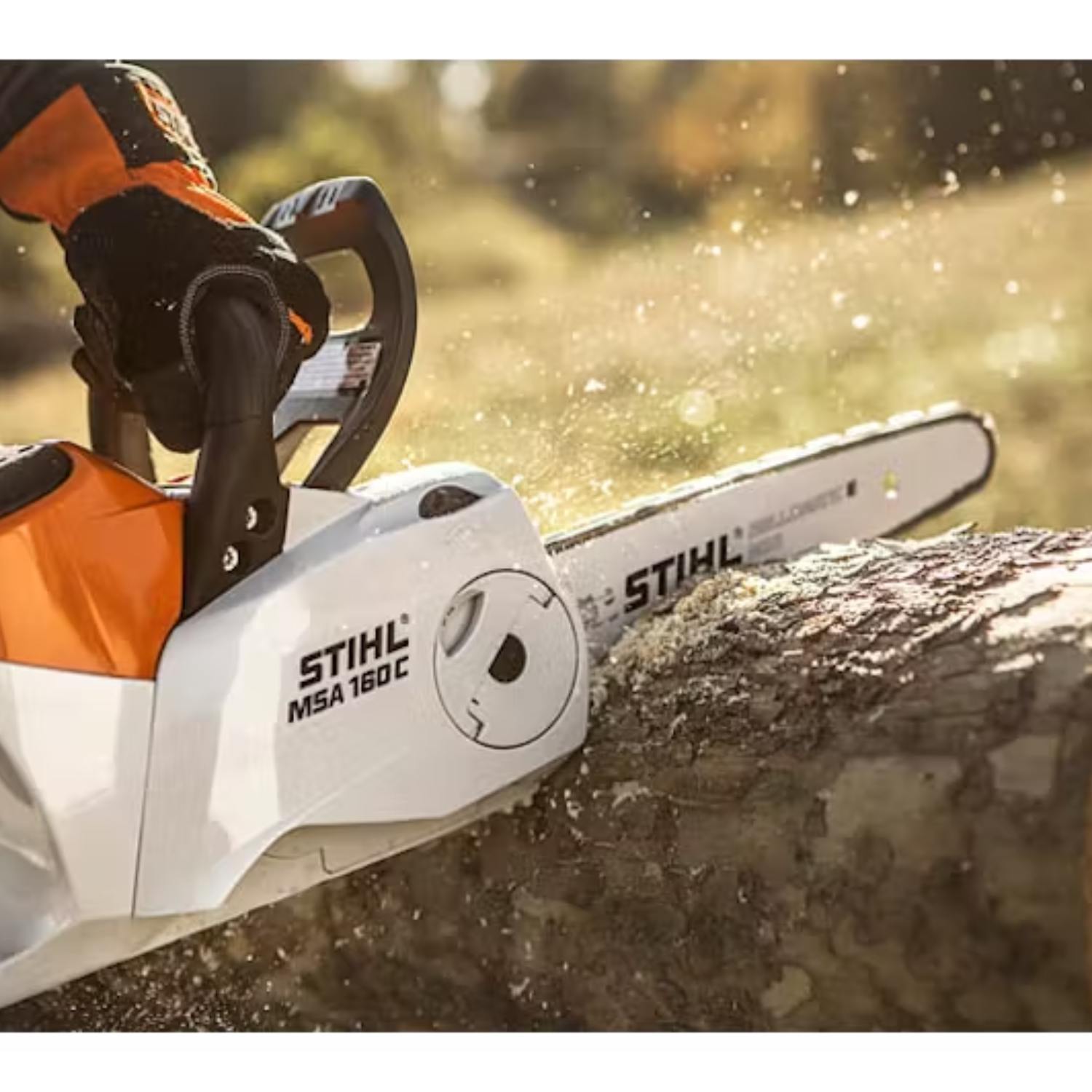 Tronçonneuse à batterie STIHL MSA 160CBQ