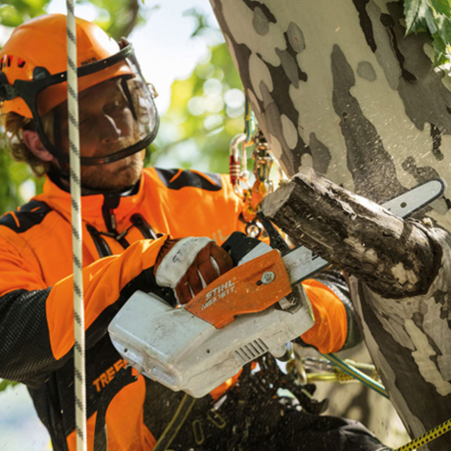 Stihl battery store climbing saw