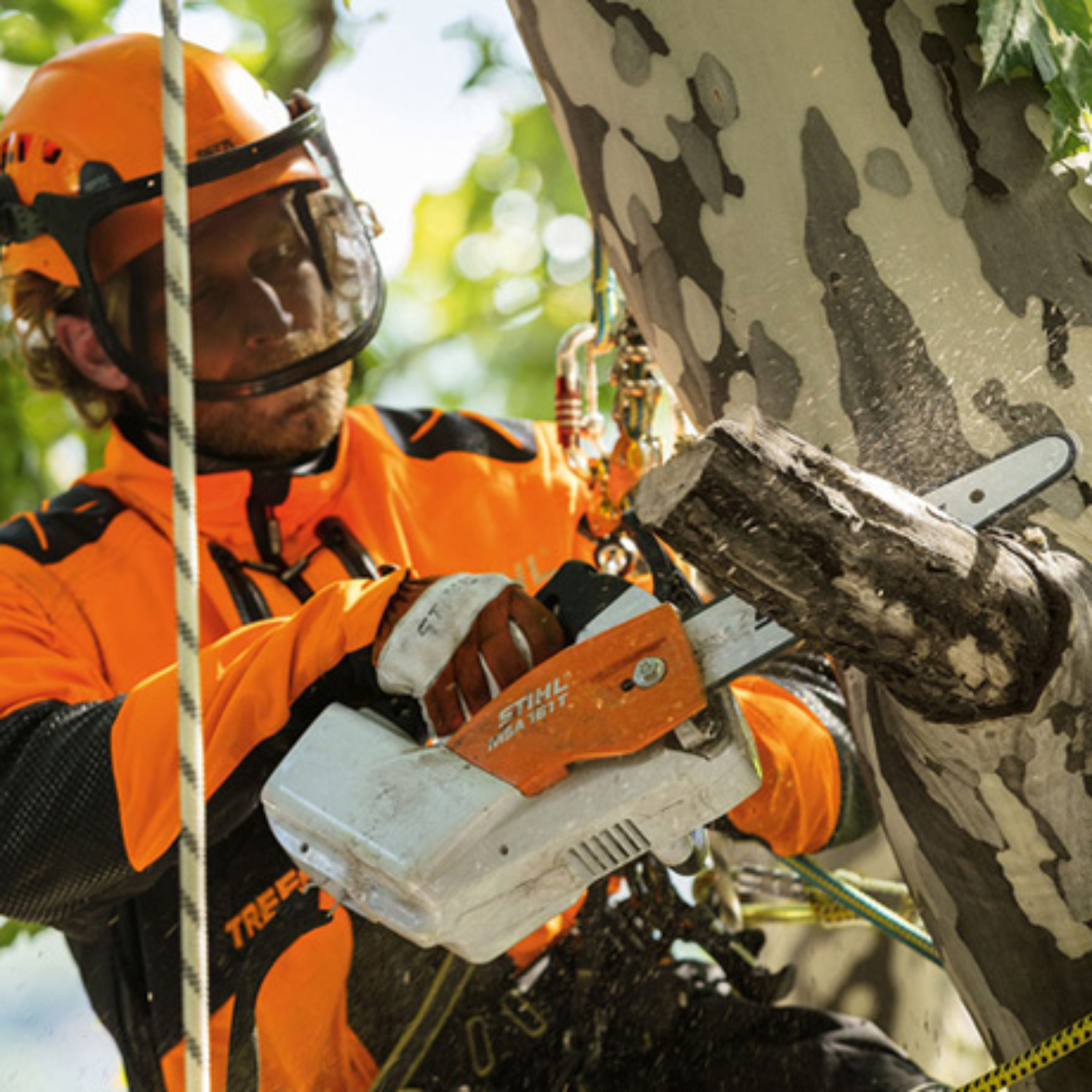 Stihl MSA 161 T Chain Saw Quickstop - Main Street Mower | Winter Garden, Ocala, Clermont