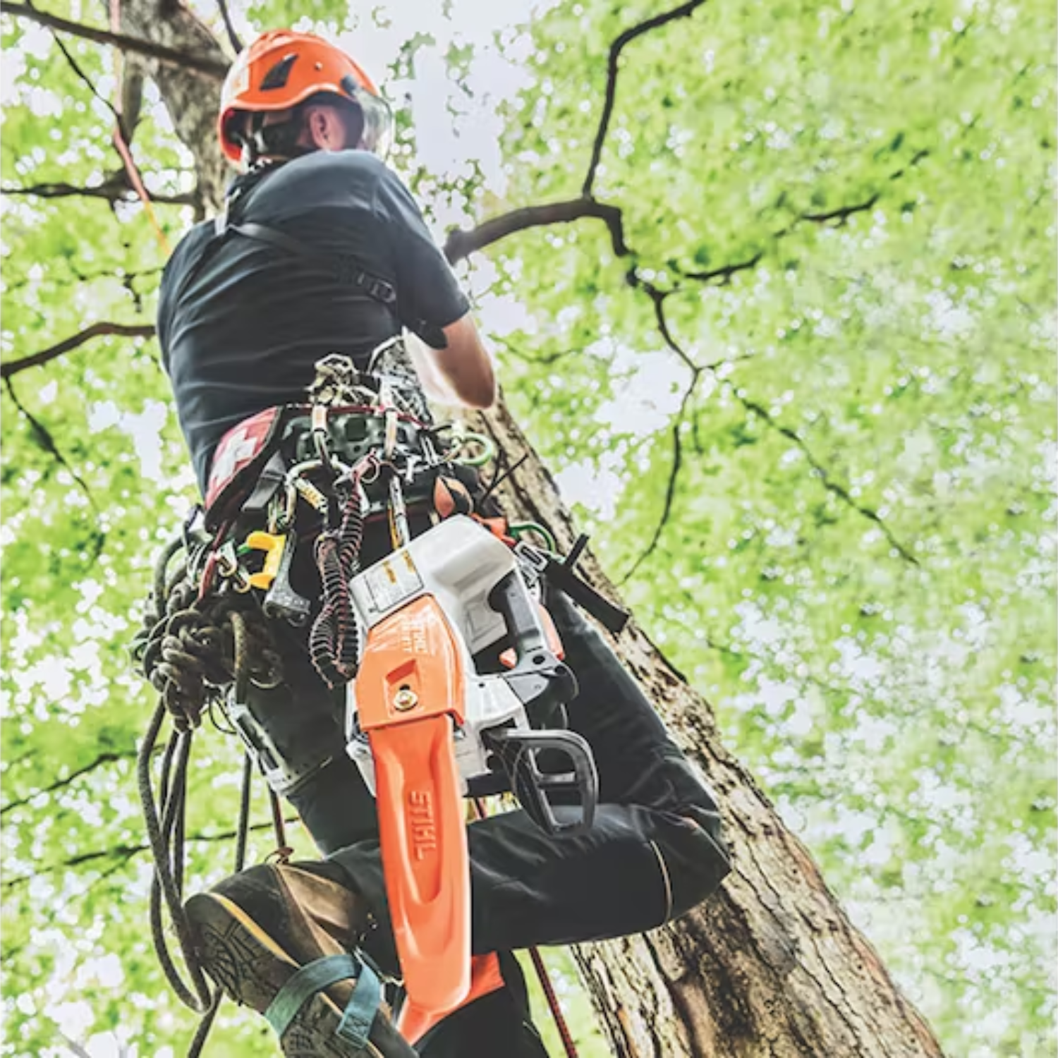 STIHL MSA 161 T Battery Powered Chainsaw with Quickstop STIHL MSA 161 T Battery Powered Chainsaw with Quickstop
